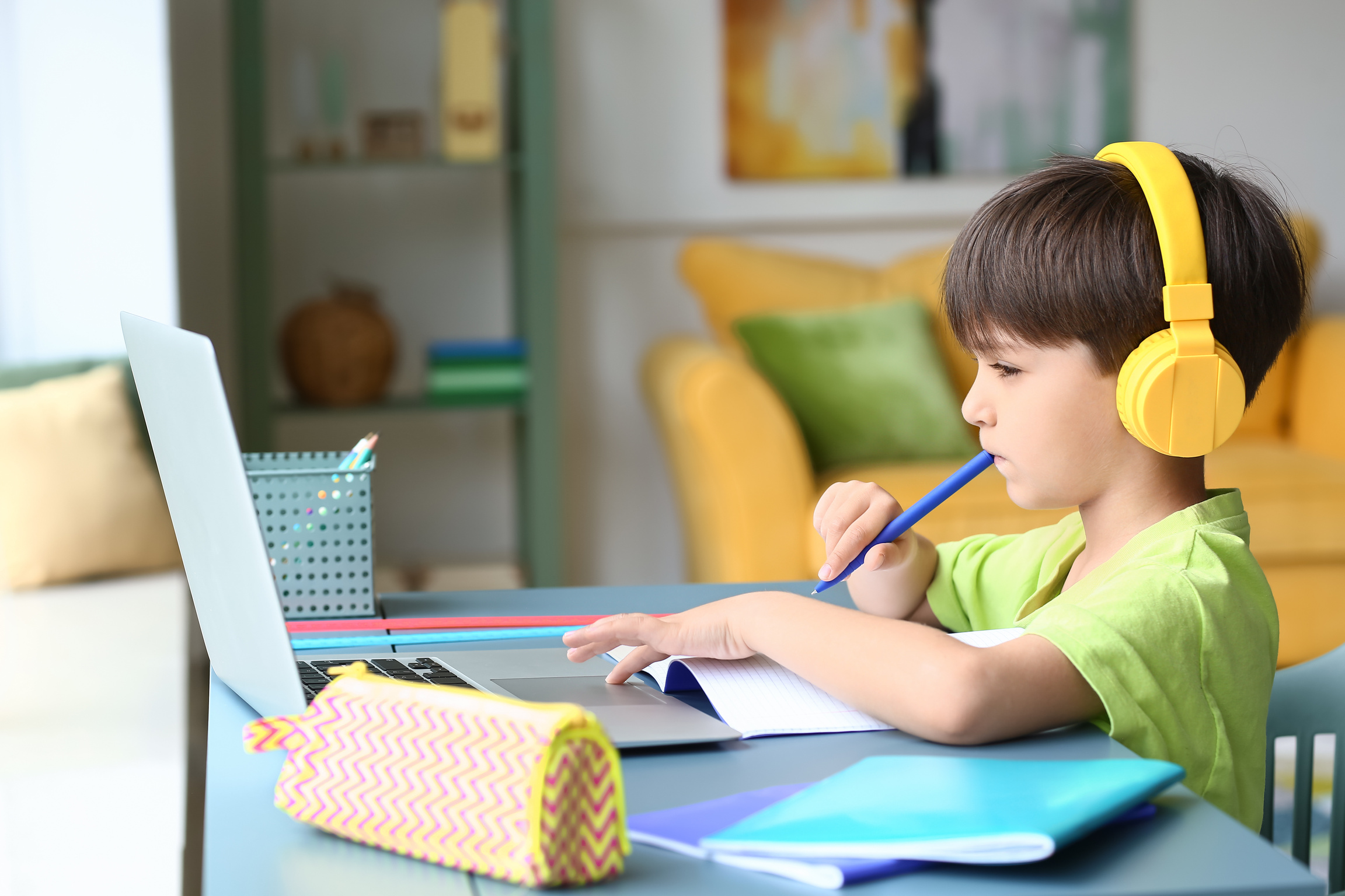 Little Boy Studying Online at Home