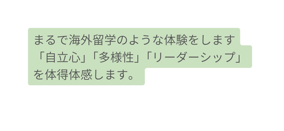 まるで海外留学のような体験をします 自立心 多様性 リーダーシップ を体得体感します