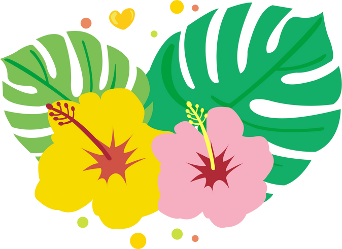 Hibiscus flower illustration.